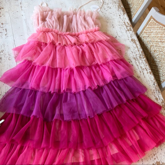 Storia Dresses & Skirts - Storia Ombre Ruffle Tulle Dress in Pink and Purple